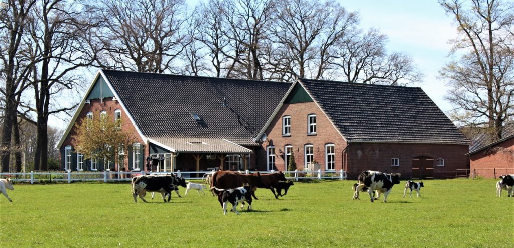 Vlees van de boer